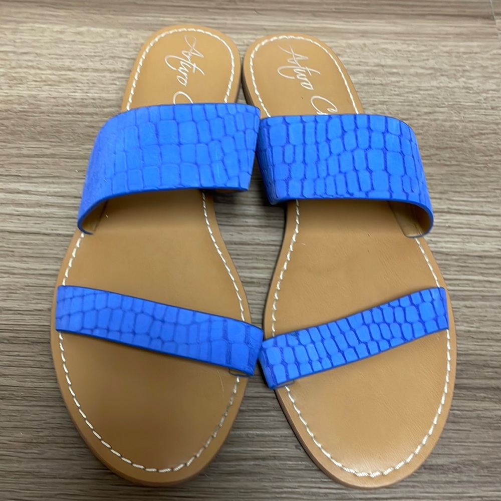 Arturo Chiang Flat Sandal, Blue
